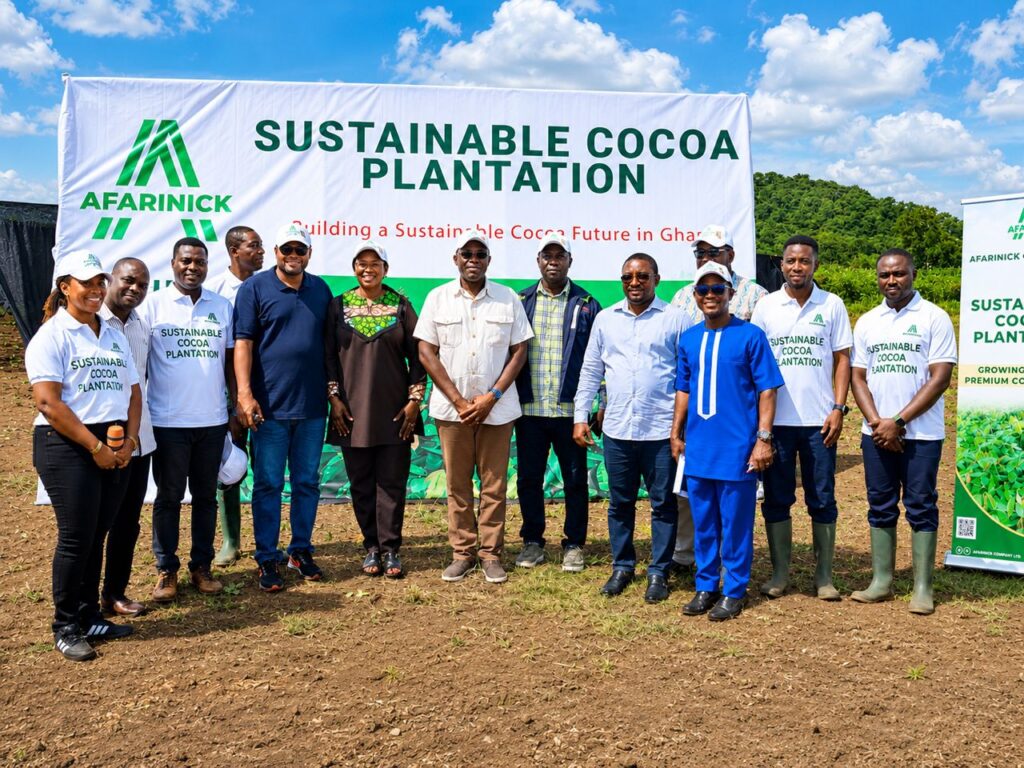 Afarinick distributes 400,000 free cocoa seedlings