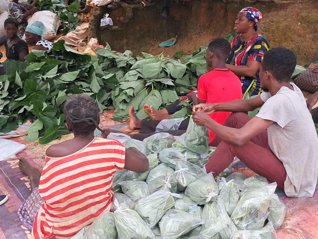 African youth emerge as key drivers of...