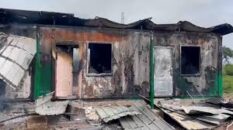 Foresters demand arrest and prosecution after violent attack on Babatokuma Forestry Commission checkpoint