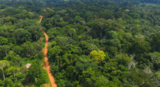 Ghana seeks private capital for forest restoration, carbon markets at UK Summit