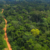 Ghana seeks private capital for forest restoration, carbon markets at UK Summit