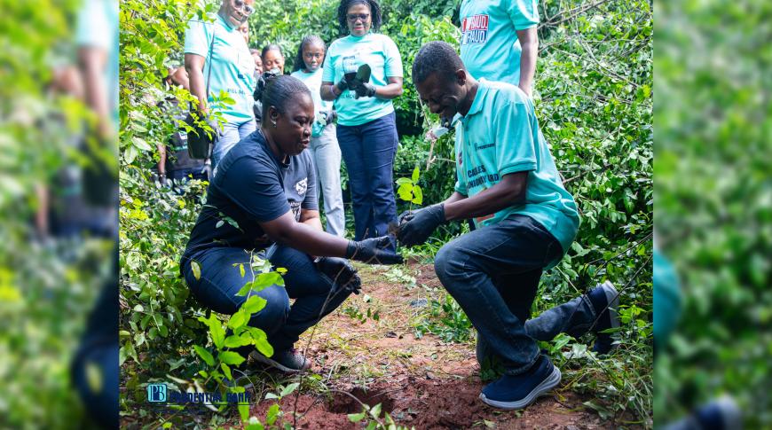 Prudential Bank plants over 200 trees at...