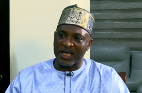 Private security companies have no right to carry guns – Muntaka