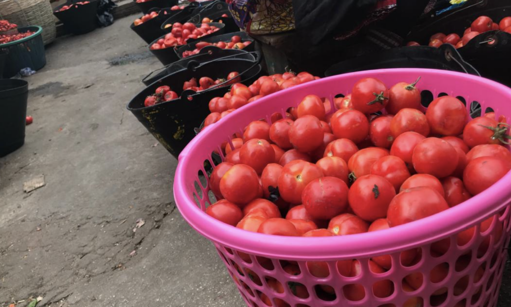 Kumasi tomato sellers ask government to revive the tomato business
