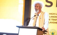 Wole Soyinka demands actionable strategy for reparatory justice
