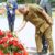Mahama lays wreath at Brest Hero Fortress, honours WWII fallen