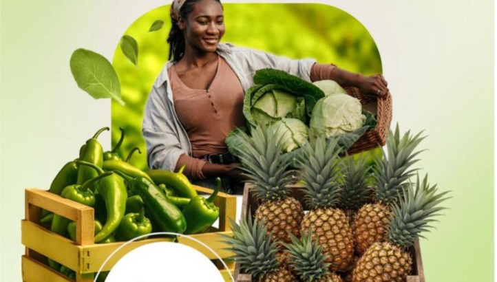 Ghana International Horticulture Expo 2026 postponed to Sept