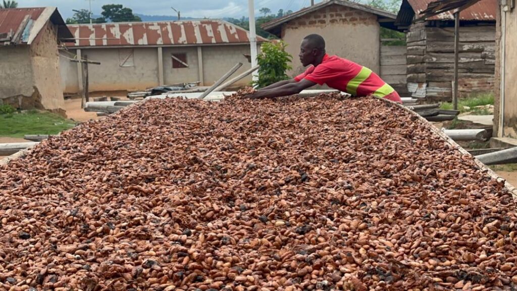 Tony’s Open Chain steps up child labour interventi