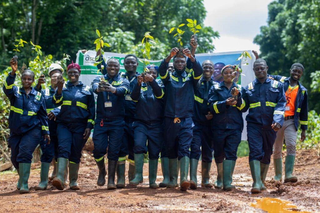 Asante Gold to reforest 800 hectares of...