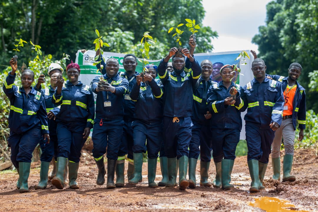 Asante Gold to reforest 800 hectares of degraded Tano-Suraw Forest land