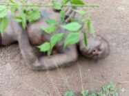 Man found dead after alleged attempted attack on church in Sefwi Asafo
