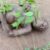 Man found dead after alleged attempted attack on church in Sefwi Asafo