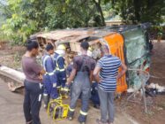 Four dead, two critical after Metro Mass bus plunges into ditch on Peki stretch