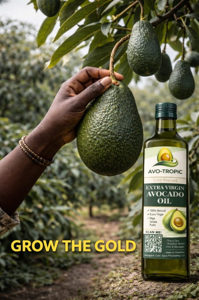 Avocado: Ghana’s next €2bn export win