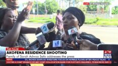 Family raises safety concerns after Adwoa Safo’s brother granted bail