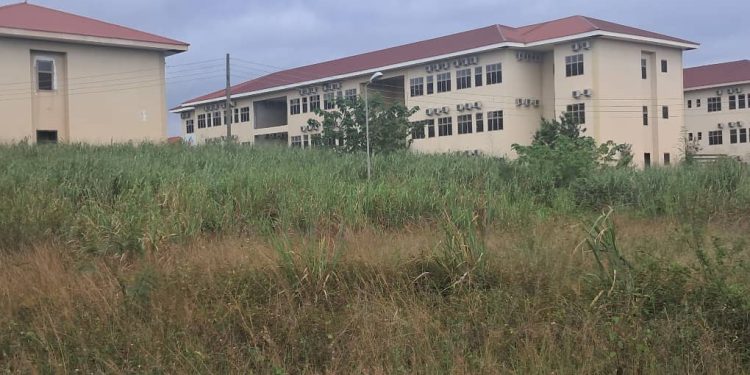 Previous gov’t prioritised Agenda 111 over complet