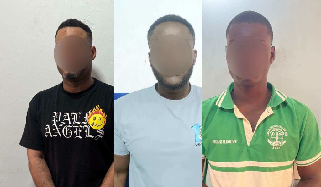 Adwoa Safo’s brother, eight others granted ...