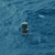 Ten dead after migrant boat capsizes near Malta, Italian coastguard says