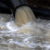 Health experts to screen US wastewater for disease outbreaks during World Cup