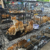 Hundreds of cats stolen for food in Vietnam rescued by police, welfare group says