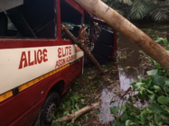 Two pupils dead, 40 others injured in tragic school bus accident at Assin Homaho