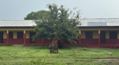 Bats force abandonment of petroleum-funded classroom block as PIAC flags stalled projects