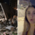 ‘I thought I was going to die’ – Venezuelans describe earthquake panic