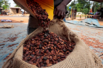 ‘We had to save the sector’ – COCOBOD defends unprecedented cocoa price intervention