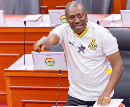Parliament must be guarantor of press...