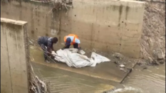 Man found dead on Kasoa-Accra highway after heavy downpour
