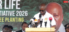 Forestry Commission CEO says over 350 private companies involved in forest plantations as sector generates $260 million