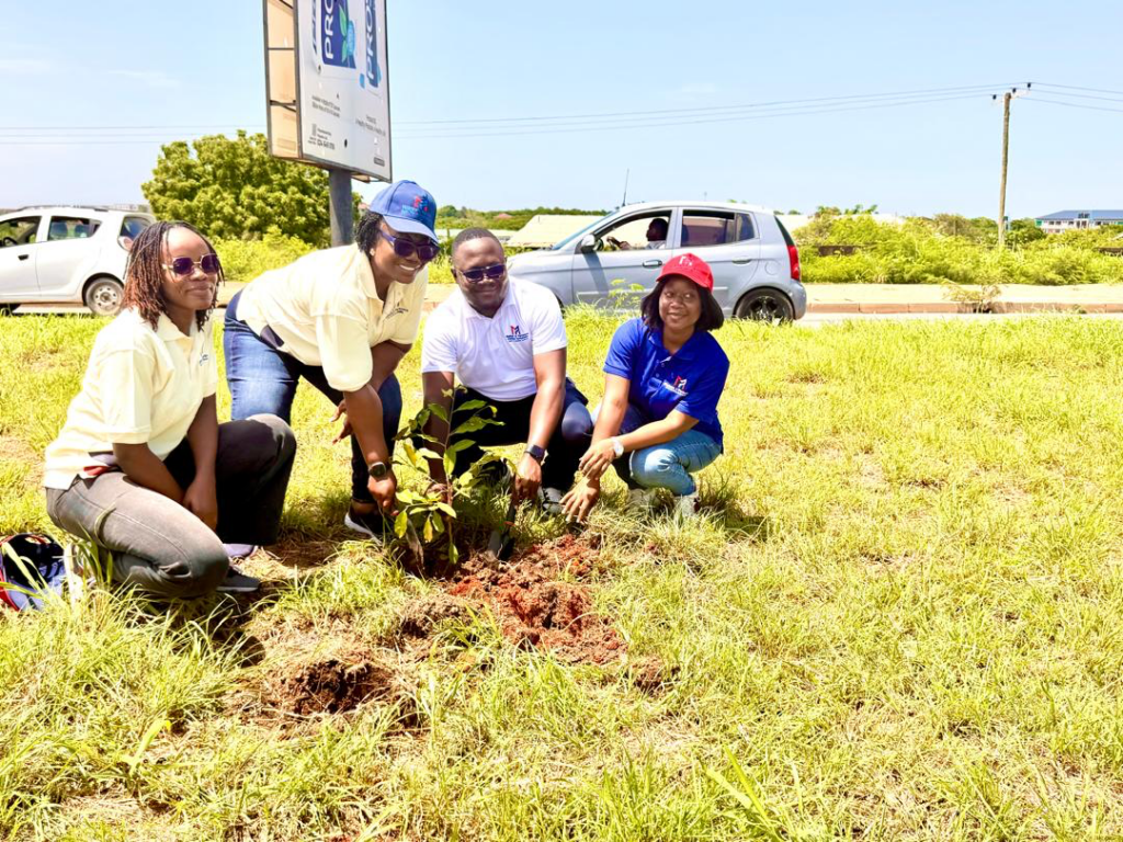 Groups urge more tree planting to reduce flooding problems