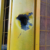 MoMo vendor killed in armed robbery attack at Dominase Onion Market, another critically injured