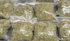 Prisons officer interdicted for attempting to smuggle Indian hemp into Kete-Krachi facility