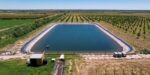 Ashaiman Irrigation Scheme under threat as encroachment engulfs farmland – Kojo Akoto Boateng