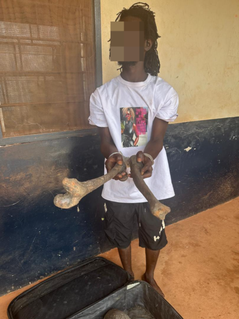 Man, 22, arrested with skeletal parts at...