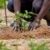 CSIR warns weak use of soil data is undermining Ghana’s agric productivity