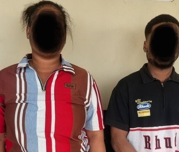 Police arrest 2 over fake online vehicle...