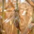 Sixteen starve to death in Uganda as drought kills crops