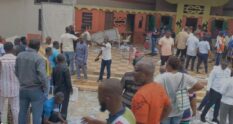NPP constituency primaries: Bantama voting centre declared crime scene following disturbances