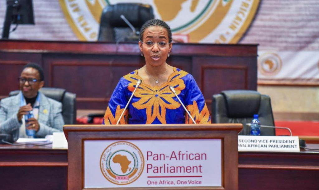 Dr Agyeman-Rawlings urges action on violence against women