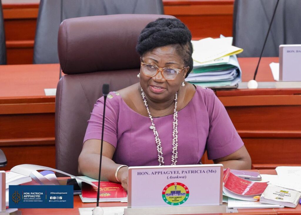Minority Women’s Caucus condemns attack on Adwoa Safo, demands full police probe