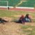 Ghana’s real sporting crisis lies beyond the pitch