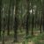 RUPAG rejects claims raw rubber export ban is hurting farmers, defends policy