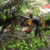 Four die in Delhi building collapse as rains batter India, trigger landslides