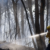 12 die in wildfire in Spain as heatwave continues in southern Europe