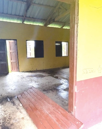 Bats force closure of new school block in Afram Plains
