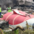 Air India crash probe draft report expected in October as investigators complete analysis
