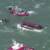 One dead and three missing after boat sinks near Alcatraz