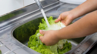 What to know about ‘explosive diarrhoea’ parasite outbreak in US